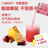 柠檬共和国洛神楂楂柠300ml*6罐含气冷藏果汁酸甜