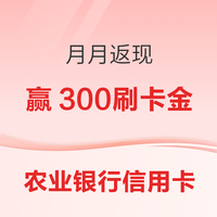 中国农业银行 农业银行信用卡 月月返现 最高赢300元刷卡金（2025年4月）