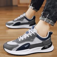 迪特丹运动鞋男鞋春秋季网面休闲鞋防滑透气跑步鞋子男士慢跑鞋老爹鞋 MD-T808灰色 43