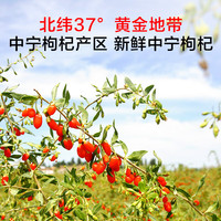 1号会员店OM京东自营有机红枸杞原浆1800ml(30ml*60袋)