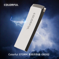 七彩虹 COLORFUL 8G 2.0