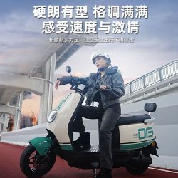 台铃 优豪电动摩托车 72V21Ah石墨烯电池