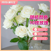 京东鲜花 玫瑰花鲜花盲盒 10枝颜色随机 山东基地