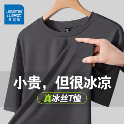 真维斯 男士夏季网眼冰丝短袖T恤