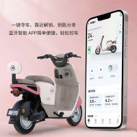 爱玛 优悦新国标长续航大电池时尚成人电动自行车车电瓶车 到店选色提车