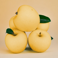 京鲜生金良宝 黄金维纳斯苹果4.5斤 单果150g+ 新鲜水果 源头直发 净重4.5斤150g+小果