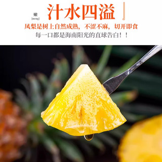 三萌果蔬金钻凤梨脆甜多汁海南新鲜热带水果手撕金菠萝 尝鲜3斤装 【约2-4颗】净重2.5斤
