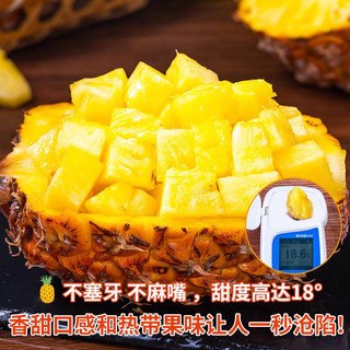 三萌果蔬金钻凤梨脆甜多汁海南新鲜热带水果手撕金菠萝 尝鲜3斤装 【约2-4颗】净重2.5斤