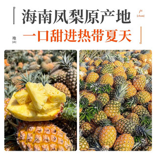 三萌果蔬金钻凤梨脆甜多汁海南新鲜热带水果手撕金菠萝 尝鲜3斤装 【约2-4颗】净重2.5斤