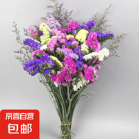 花田 花店同款半干花鲜切花真花插花摆件 勿忘我1束