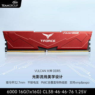  Team/十铨 支持expo/xmp DDR5内存条