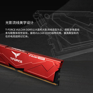  Team/十铨 支持expo/xmp DDR5内存条