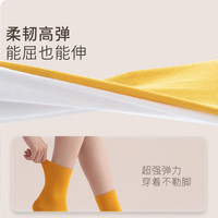 【量贩装】有时光一次性袜子男女四季通用棉袜中筒袜日抛长筒袜