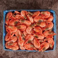 豪鲜品 HA HAOXIANPINSHENGXIAN 豪鲜品生鲜 豪鲜品北极虾北极熊甜虾熟冻刺身海鲜头腹水产籽速冻即食冰虾5斤