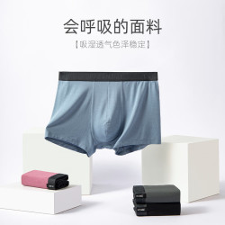 夏娃之秀 男平角透气莫代尔内裤  灰兰 (K2042) 1条 L