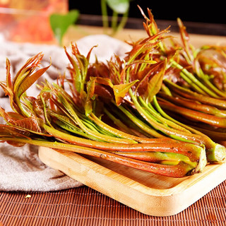卫青沙窝陕西香椿芽头茬现摘野生嫩芽露天香椿叶菜类新鲜时令蔬菜 净重2斤装 |【头茬嫩芽】