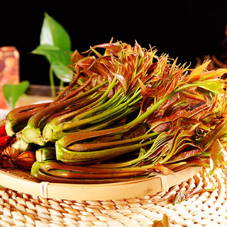 卫青沙窝陕西香椿芽头茬现摘野生嫩芽露天香椿叶菜类新鲜时令蔬菜 净重2斤装 |【头茬嫩芽】