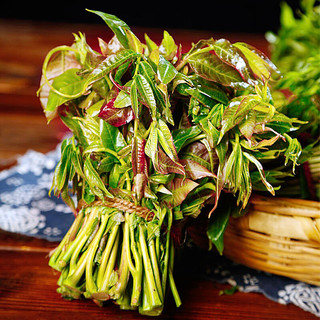 卫青沙窝陕西香椿芽头茬现摘野生嫩芽露天香椿叶菜类新鲜时令蔬菜 净重2斤装 |【头茬嫩芽】