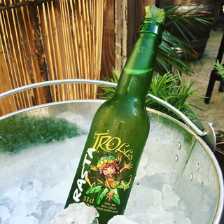 RASTA TROLLS/山树精 比利时拉斯特巨魔精酿艾尔啤酒 250ml*12瓶