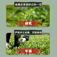 采茶伯乌龙茶 安溪铁观音 清香型500g茶叶袋装新茶叶嫩芽原产自己喝 【口碑好茶】铁观音兰花香500g