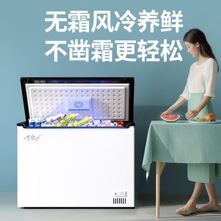 SNOWFLK/雪花 一级能效 冰柜  340L