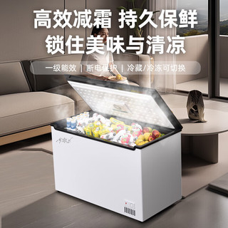  SNOWFLK/雪花 一级能效 冰柜  340L