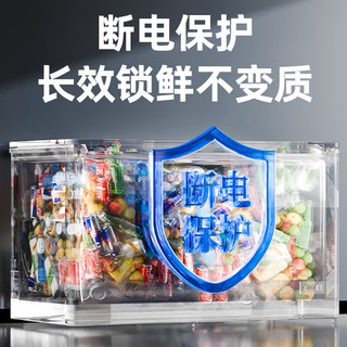  SNOWFLK/雪花 一级能效 冰柜  340L