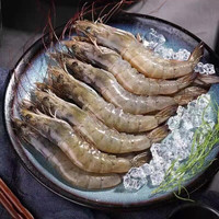  喵满分 无冰新鲜 冷冻白虾  15-17cm 包装 3000g