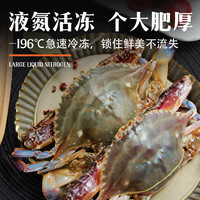 梭子蟹鲜活冷冻特大野生舟山大螃蟹海鲜新鲜海蟹水产飞蟹白蟹