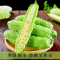 京地达云南老品种新鲜苦瓜净重单果100g起蔬菜癞凉瓜源头直发包邮