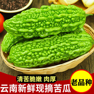 京地达云南老品种新鲜苦瓜净重3斤单果100g起蔬菜癞凉瓜源头直发 新鲜苦瓜 3斤 装