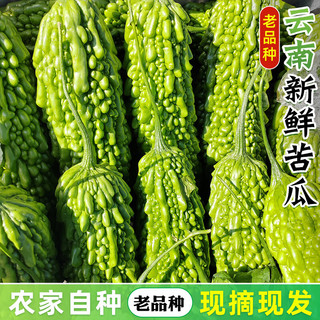 京地达云南老品种新鲜苦瓜净重3斤单果100g起蔬菜癞凉瓜源头直发 新鲜苦瓜 3斤 装