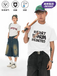 DESSO 唐狮短袖t恤男生夏季高级感棉正肩体恤