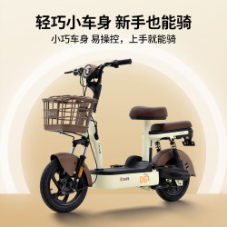 台铃 电动车小淘气-G电动自行车新国标可上牌电瓶车成人代步 请到店选购颜色