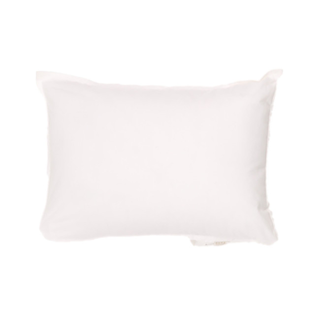 ZARA HOME ZARA柔软舒适纯棉抱枕芯可水洗枕头芯学生宿舍家用枕芯枕头一只装