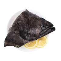 卖鱼七郎 格陵兰超大鲽鱼头1.5斤 深海鸦片鱼头比目鱼头海鲜水产鱼类