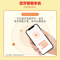 飞鸽 FLYING PIGEONE75智能电动自行车45公里长续航电动车电瓶车新国标上班代步小电驴