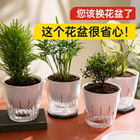 晨雾山 光粼花盆 小号 绿萝兰花专用花盆