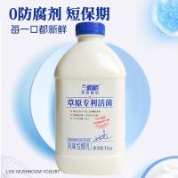 兰格格 草原活菌酸奶大桶发酵益生菌专利儿童早餐奶1kg*2桶