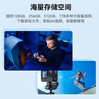 25年雷克沙256G内存卡高速TF卡掌机switch手机高速存储卡监控