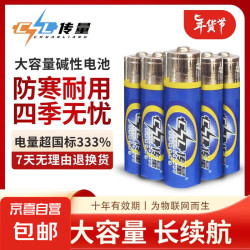 传量5号 碱性电池 6粒 玩具车智能锁燃气表遥控器 碱性电池