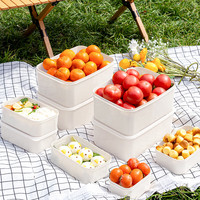 禧天龙冰箱收纳盒户外露营野餐盒蔬菜水果保鲜冷冻整理盒 7.3L  两只装