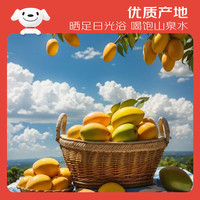 京鲜生 金煌芒果 2斤装 单果约500g 生鲜水果