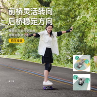 原始人陆地冲浪板滑板初学者路冲板冲浪滑雪练习板CX4免蹬地刷街 32寸薄荷绿