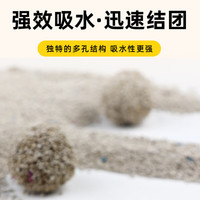 宠号猫砂 膨润土 除臭 无尘 不粘底 结团快 柠檬味 5kg*1袋 柠檬味 5kg 1袋