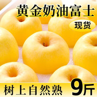 粤迎山东奶油富士苹果脆甜烟台苹果黄金富士山东水果新鲜水果整箱 净4.5-5斤精选果【单果75mm+】