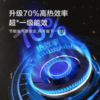 [}海信 Hisense天然气家用嵌入式双灶铜火盖 5.2kW瞬燃70%高热效率