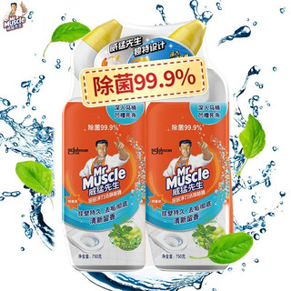 威猛先生（Mr Muscle）洁厕剂 洁厕液 洁厕灵 厕所马桶清洁 家用厕所除垢去渍去异味除菌 薄荷清香 750g*2