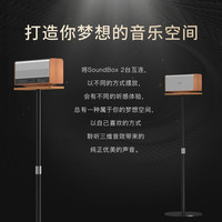 德士 DOSS 音响立体声强声场组合便携HIFI蓝牙音箱无线环绕家庭影院