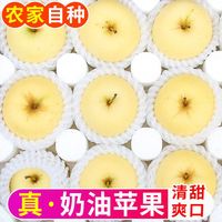 山东烟台奶油苹果红富士新鲜水果冰糖心白苹果牛奶脆甜礼盒